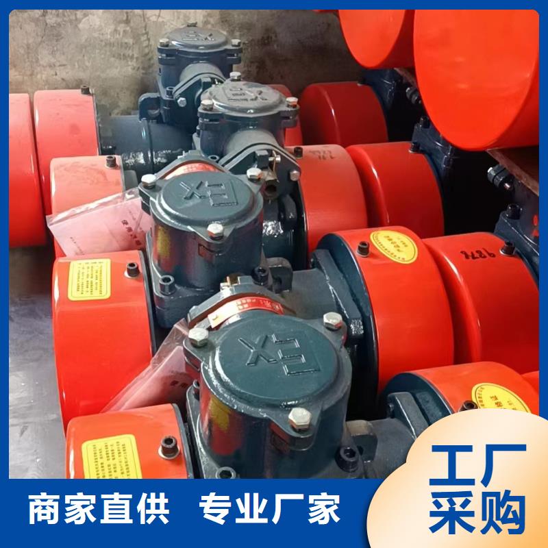 防爆振動(dòng)電機(jī)防爆電機(jī)卓越品質(zhì)正品保障