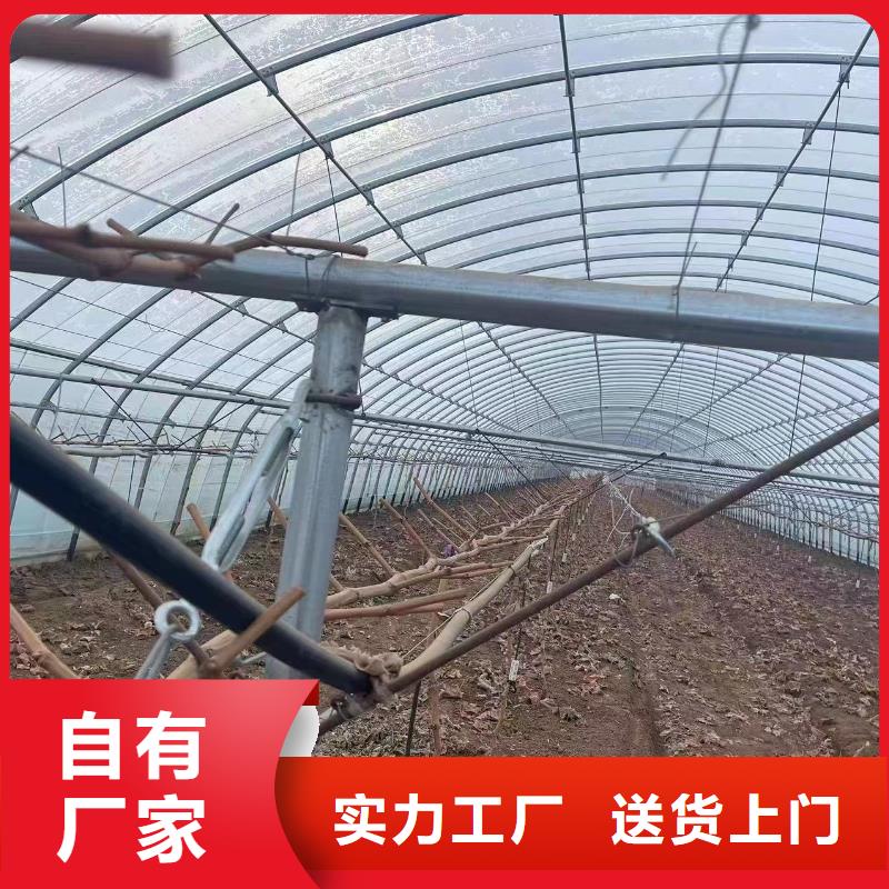 【溫室大棚溫室大棚水肥一體機可定制】