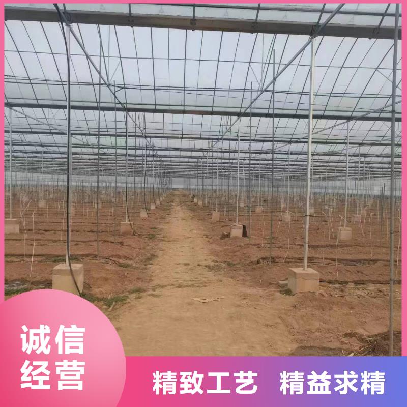 溫室大棚_熱鍍鋅光伏支架出廠價