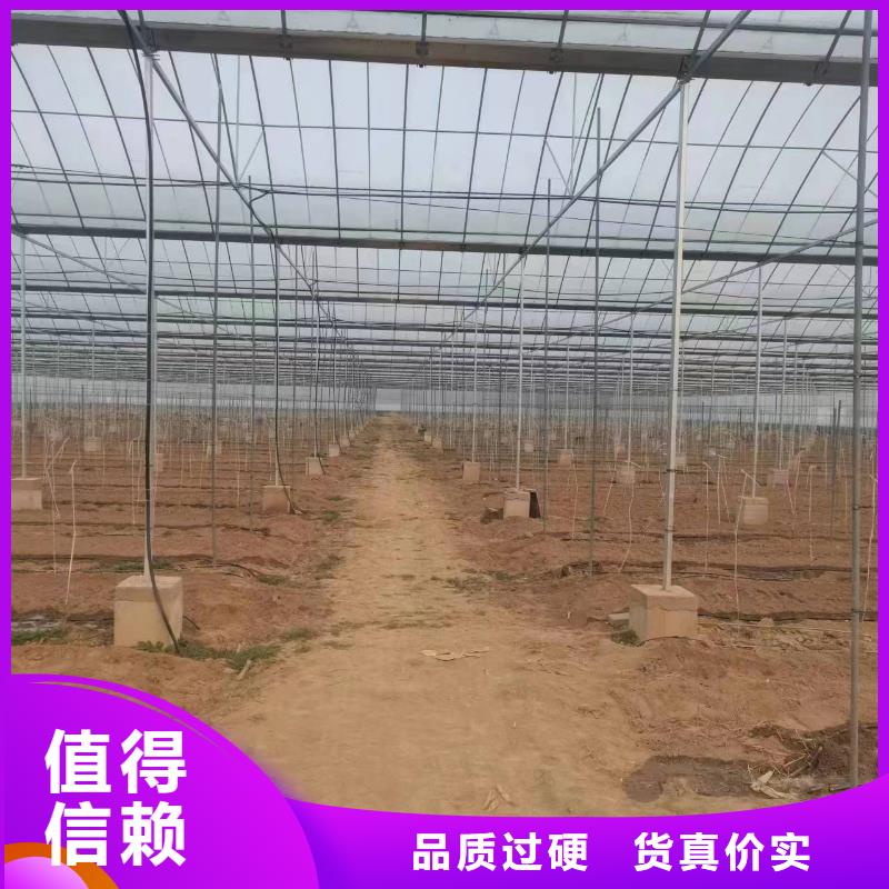 温室大棚角驰夹具自主研发