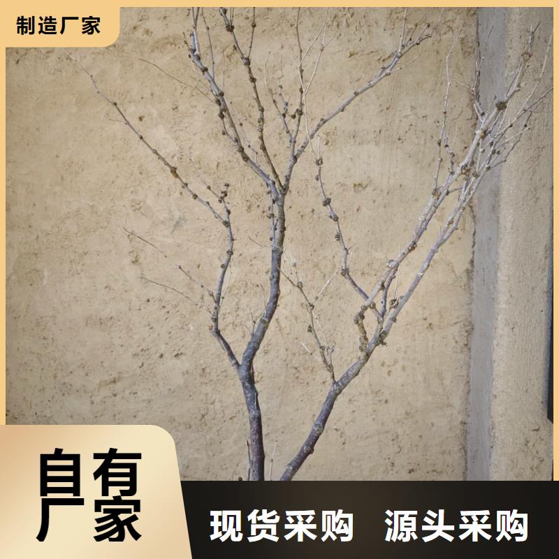 仿泥巴稻草漆廠家施工