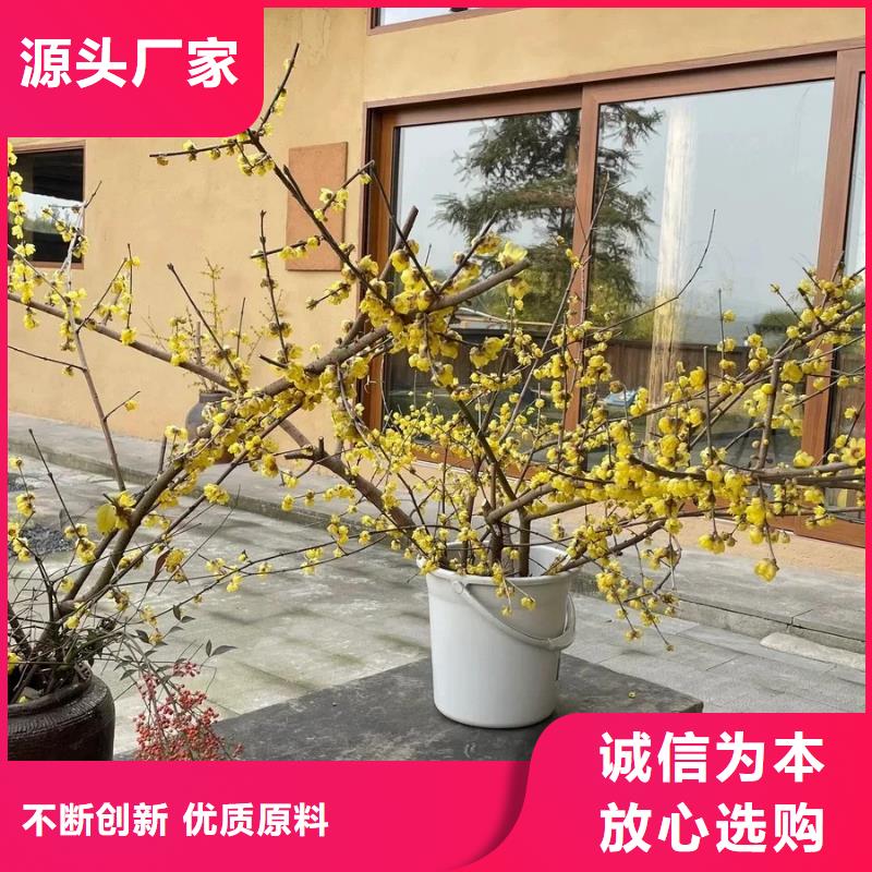 仿泥巴墻稻草漆施工價格