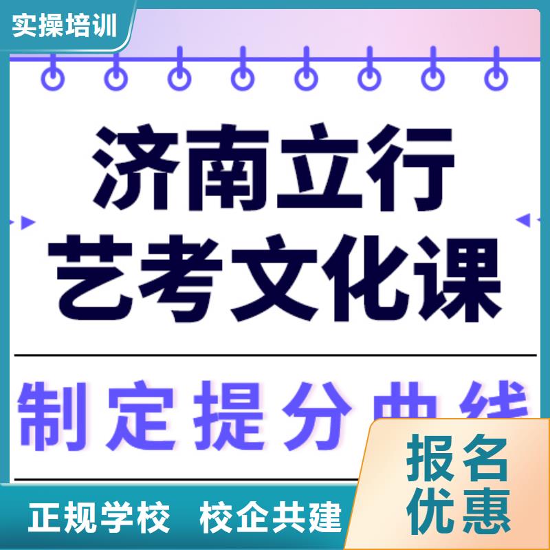 藝考生文化課高考語文輔導課程多樣