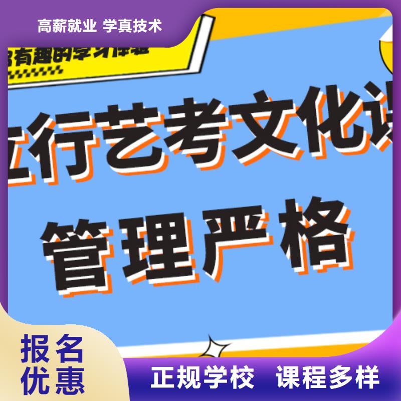 藝考生文化課高考語文輔導課程多樣