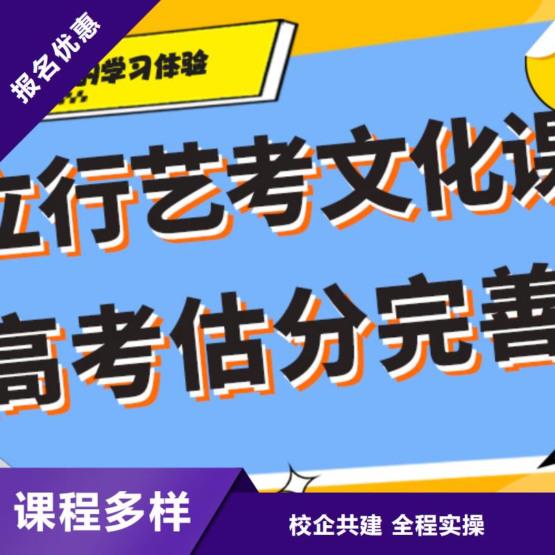 藝考生文化課高考語文輔導課程多樣