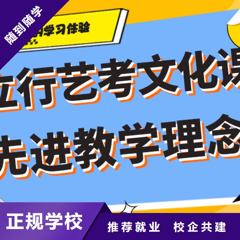 藝考生文化課高考語文輔導技能+學歷