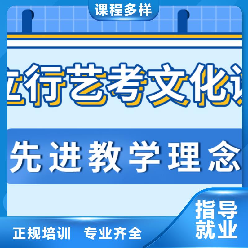 藝考生文化課高考語文輔導課程多樣