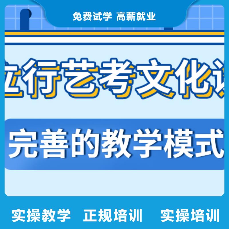 藝考生文化課高考語文輔導技能+學歷