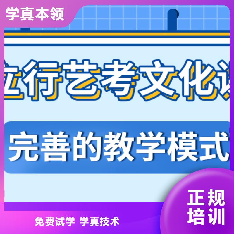 藝考生文化課高考沖刺輔導機構學真技術