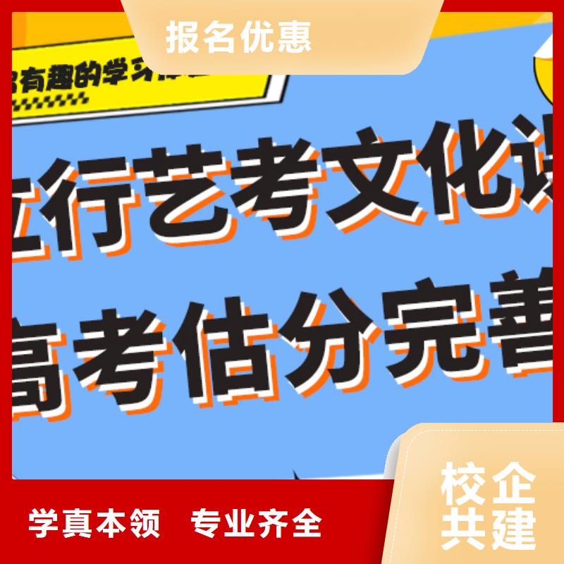 藝考文化課補習高中一對一輔導手把手教學