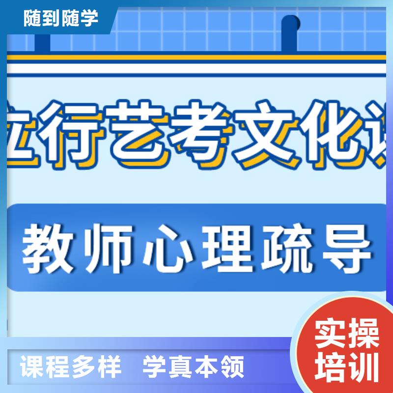 藝考文化課補(bǔ)習(xí)_高三沖刺班全程實(shí)操