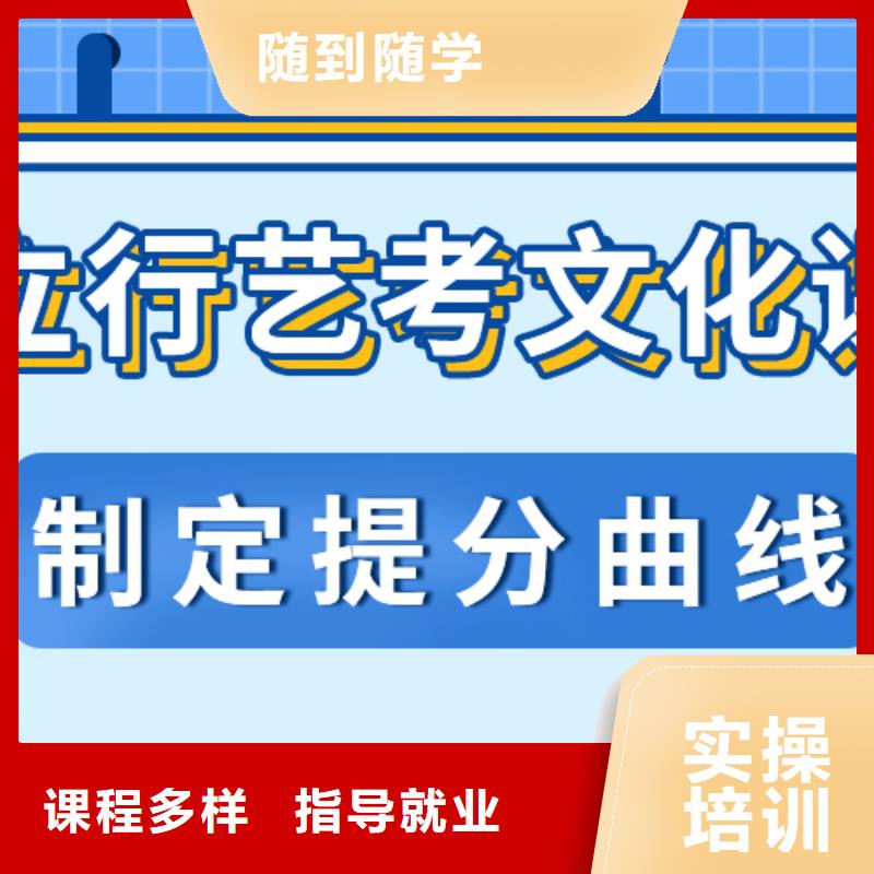 藝考文化課補習藝考培訓(xùn)機構(gòu)課程多樣