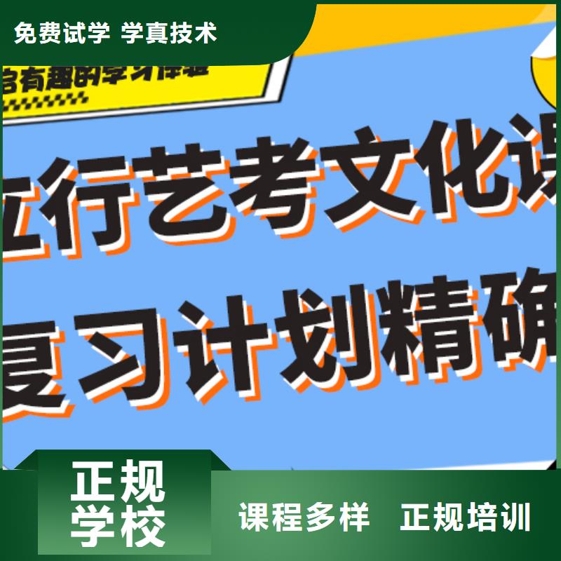 藝術生文化課藝考文化課集訓班手把手教學