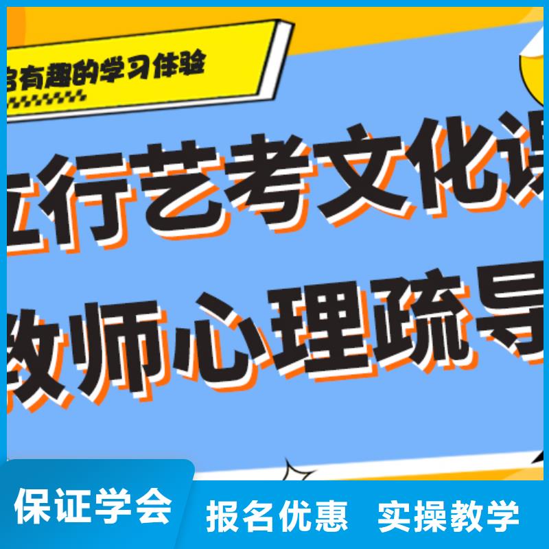 藝術(shù)生文化課【藝考復(fù)讀清北班】指導(dǎo)就業(yè)