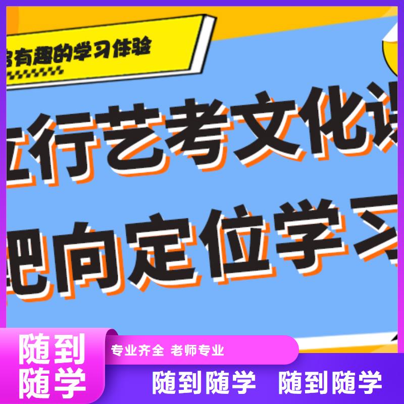 藝術(shù)生文化課【藝考文化課百日沖刺班】全程實(shí)操