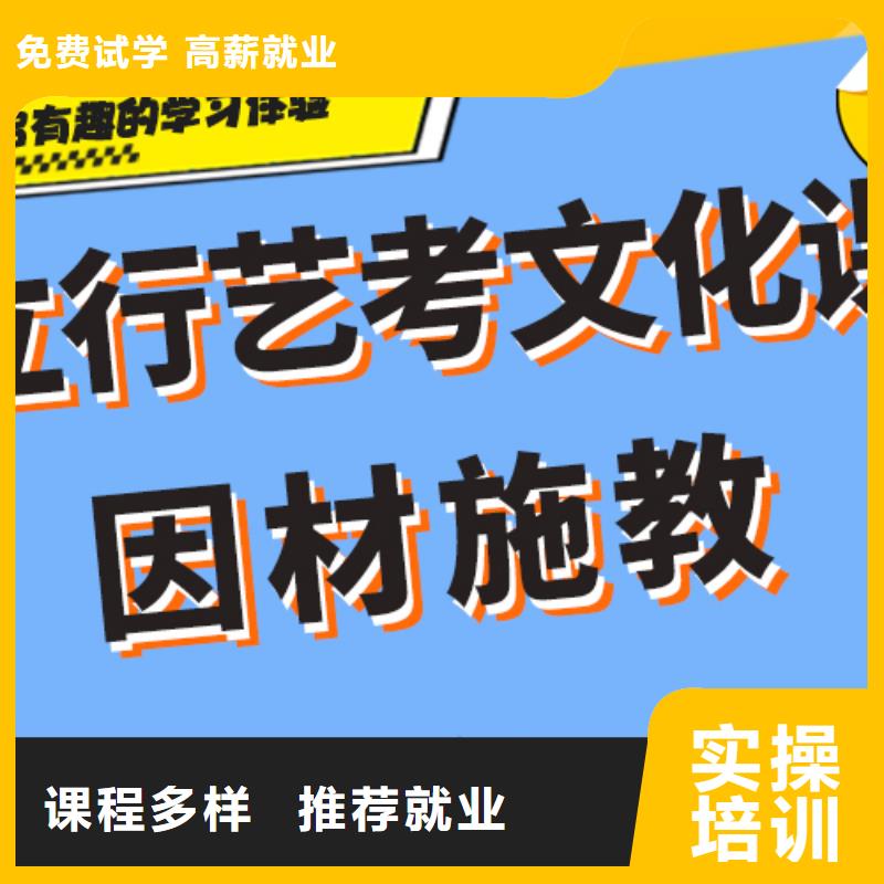 藝術(shù)生文化課舞蹈藝考培訓(xùn)學(xué)真本領(lǐng)