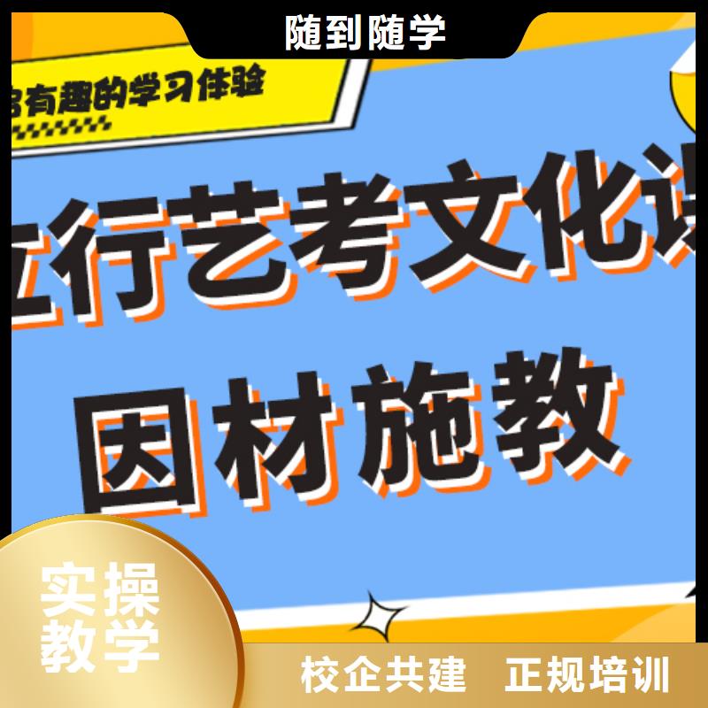 藝術生文化課【高考沖刺班】學真技術