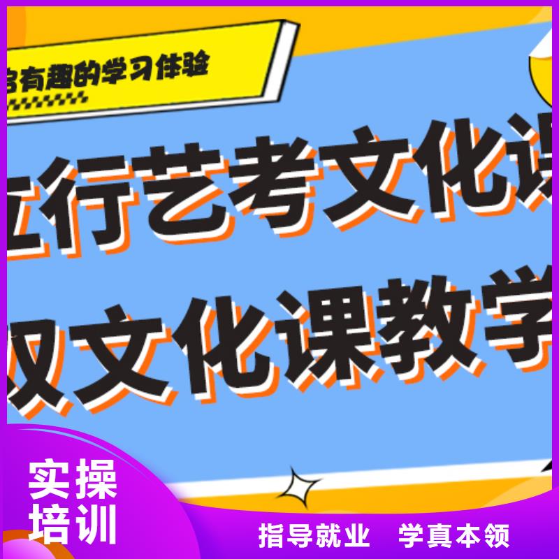 藝術(shù)生文化課高考沖刺全年制學(xué)真技術(shù)