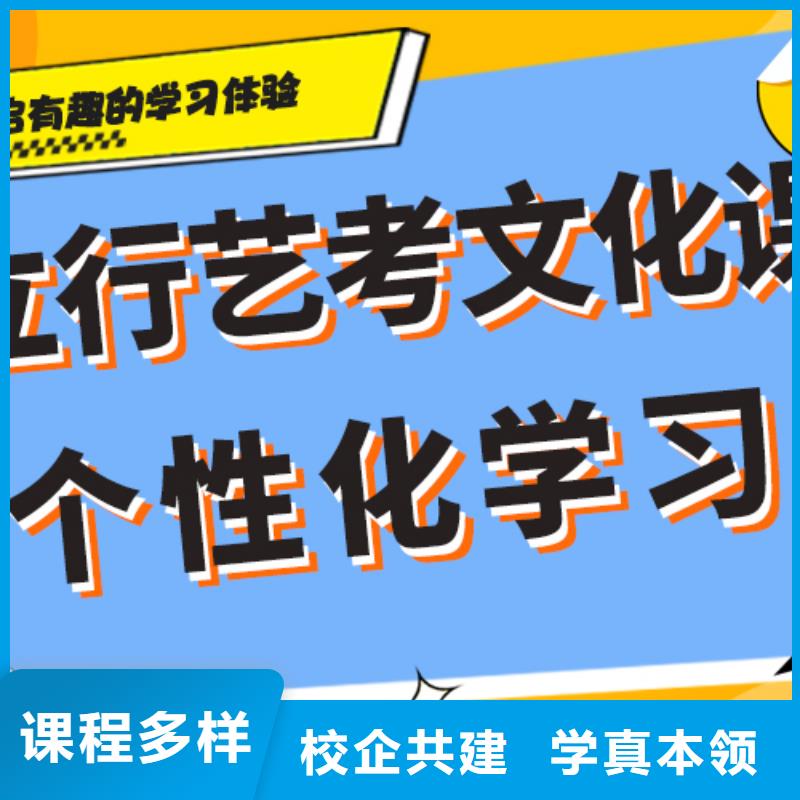 藝術生文化課【高考沖刺班】學真技術