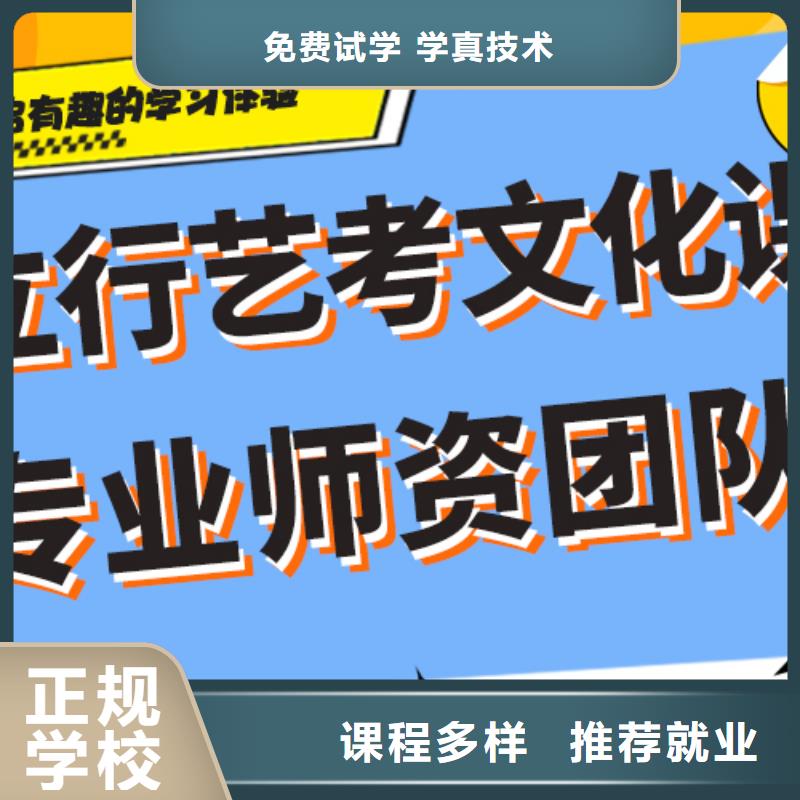 藝術生文化課【高考沖刺班】學真技術