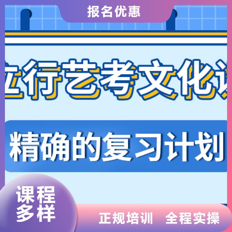 藝術(shù)生文化課藝考文化課集訓(xùn)班專業(yè)齊全