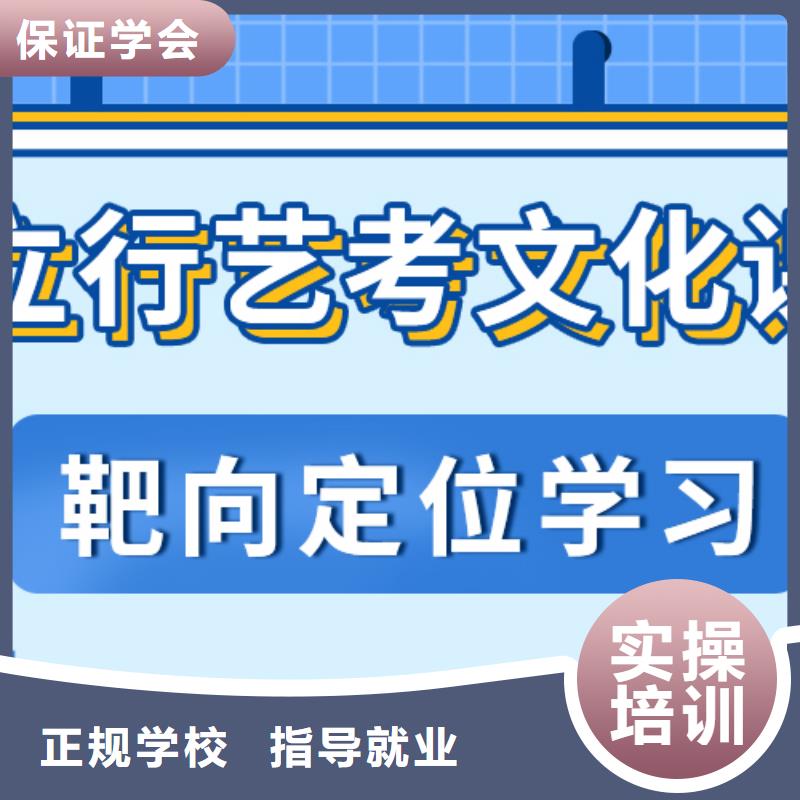 藝術(shù)生文化課藝考文化課沖刺班正規(guī)學校