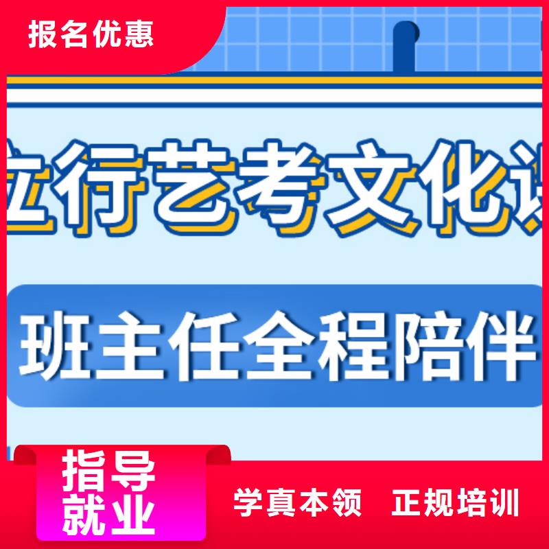 藝術生文化課【高考沖刺班】學真技術