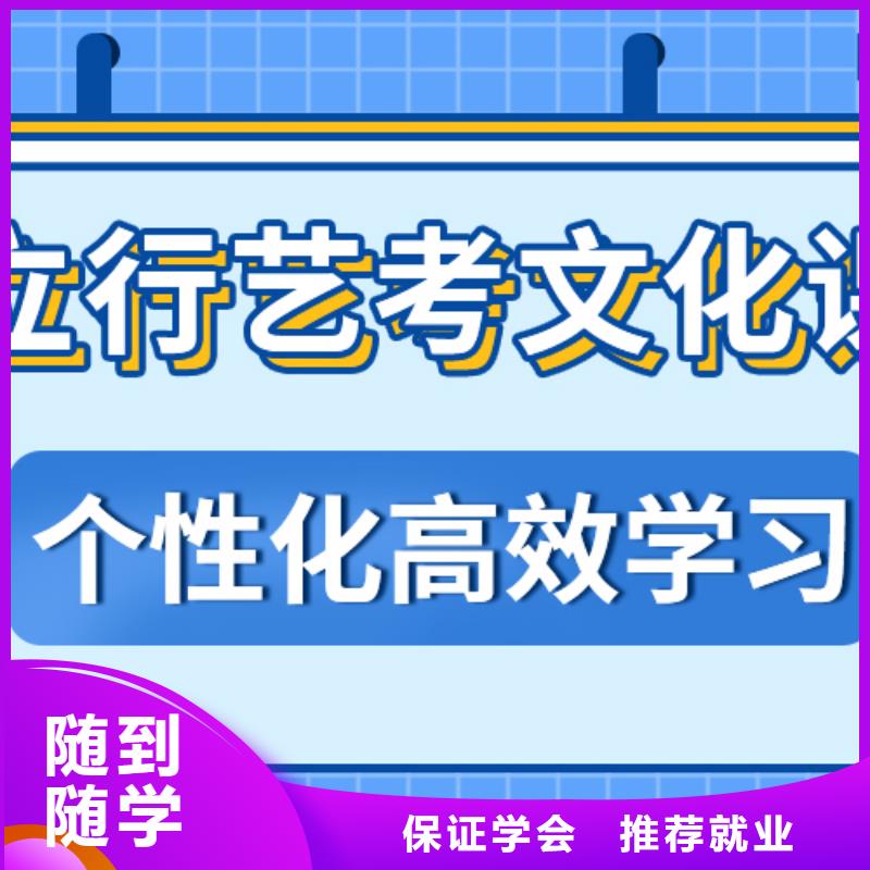 藝術生文化課高考沖刺全年制學真技術