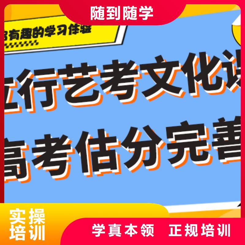 藝考生文化課集訓-高考沖刺補習老師專業