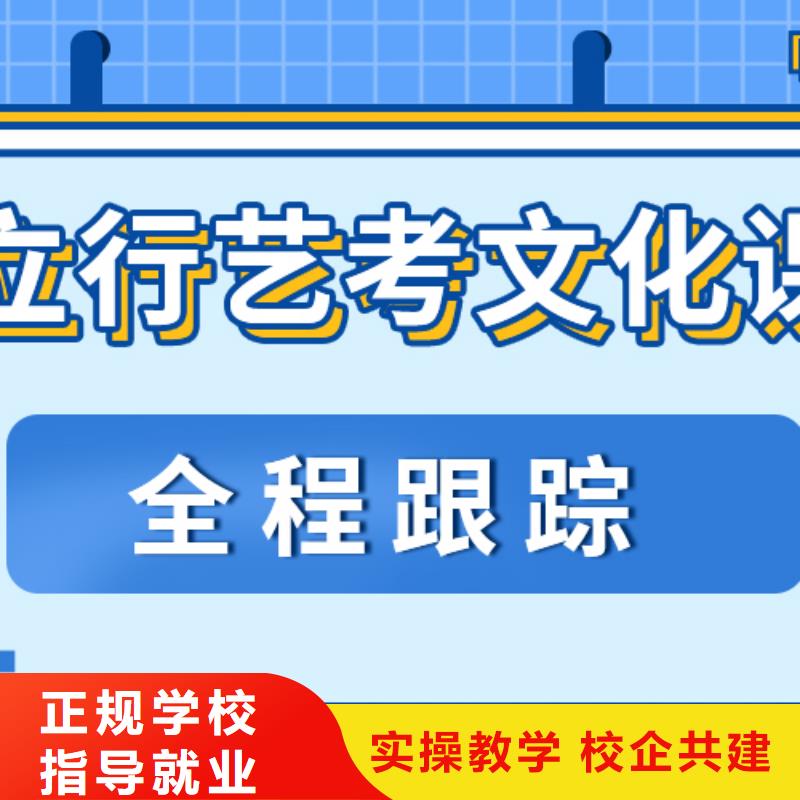 艺考文化课【艺术生文化补习】理论+实操