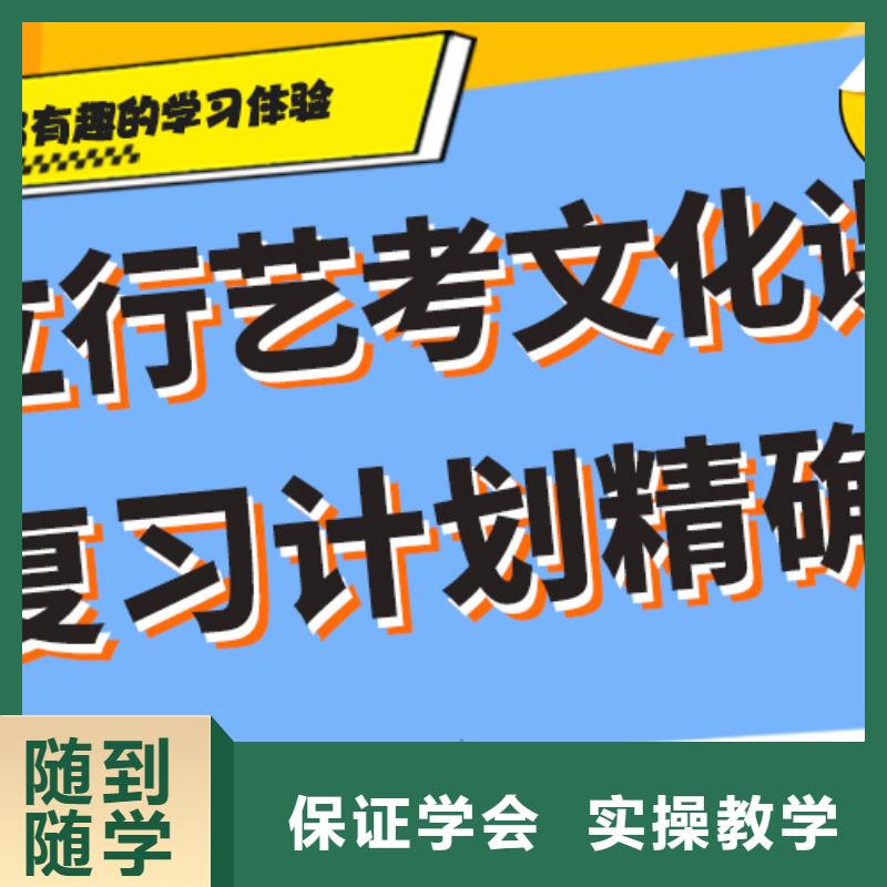 藝考文化課_【高考沖刺班】理論+實操