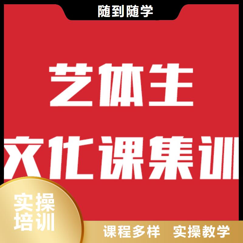 藝考文化課培訓【藝術學校】實操教學