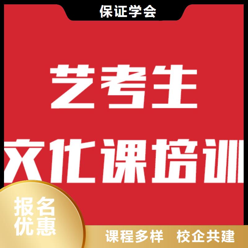 艺考文化课培训高考志愿一对一指导实操教学