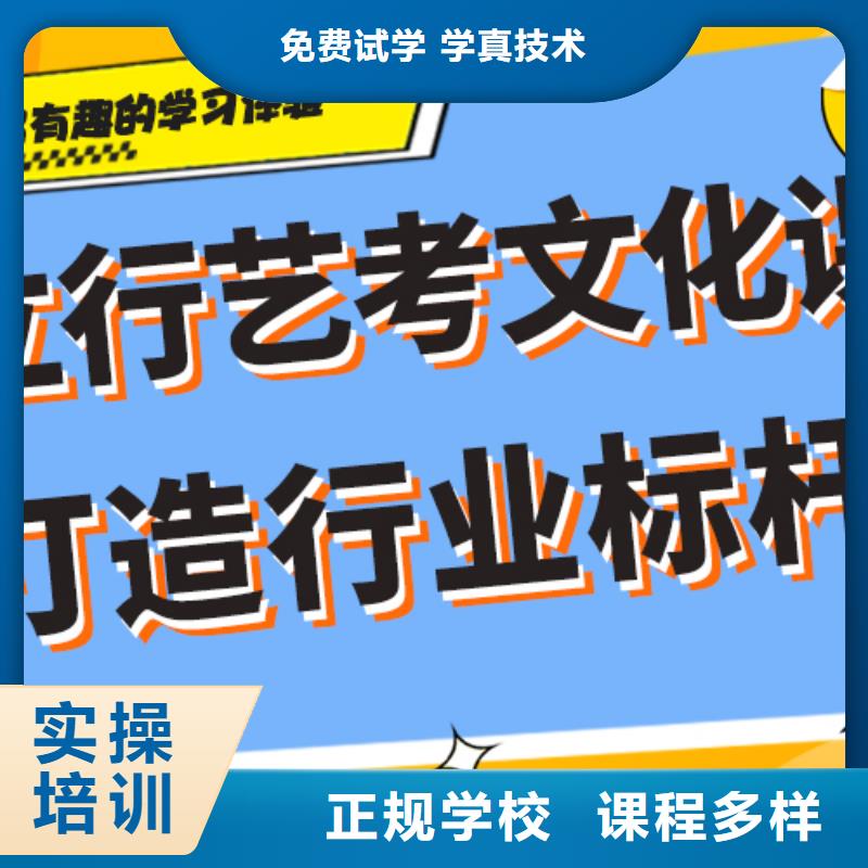 藝術生文化課補習機構有沒有在那邊學習的來說下實際情況的？