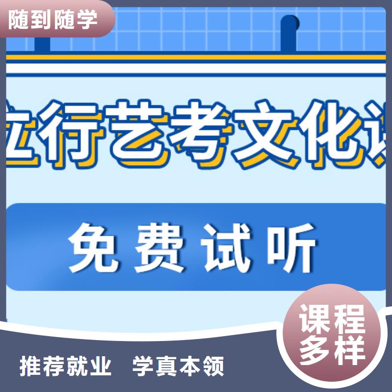 藝考文化課高考輔導(dǎo)保證學(xué)會