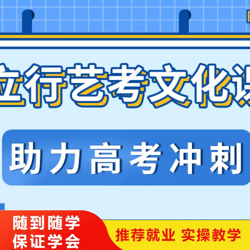 艺考文化课艺考复读清北班理论+实操