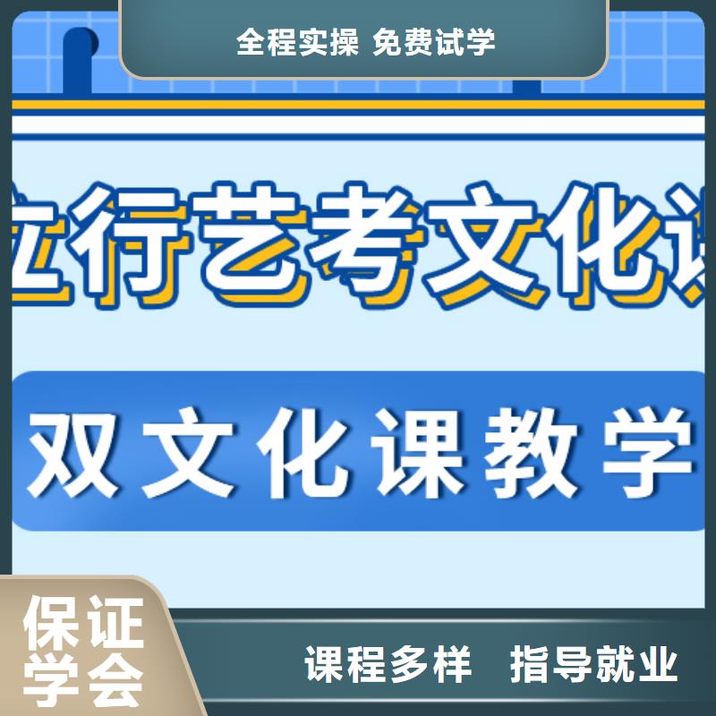 艺考文化课音乐艺考培训老师专业