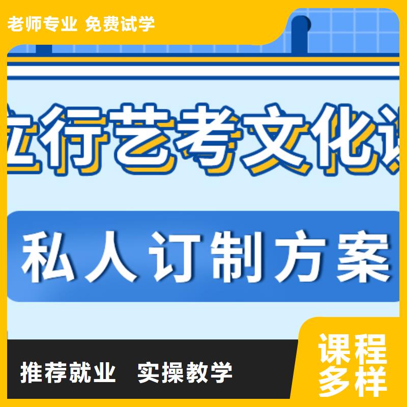 藝考文化課高考老師專業