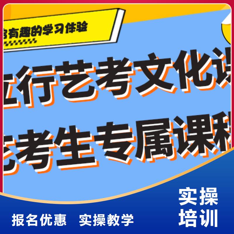 艺考文化课艺考复读清北班理论+实操