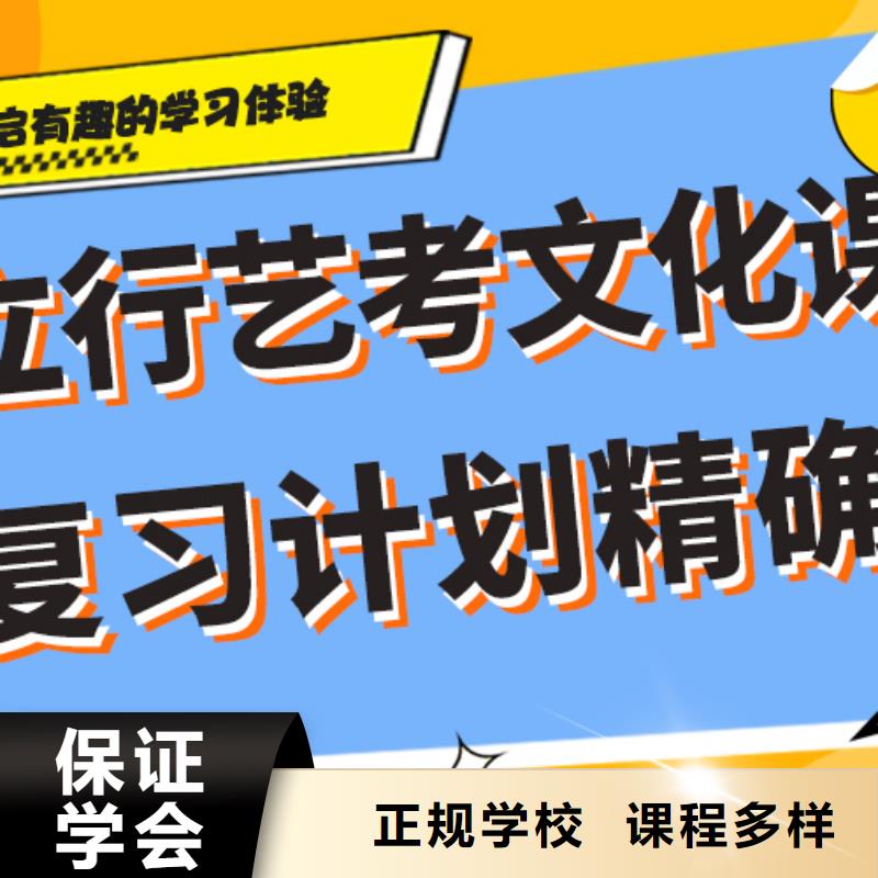 藝考文化課高考書法培訓理論+實操