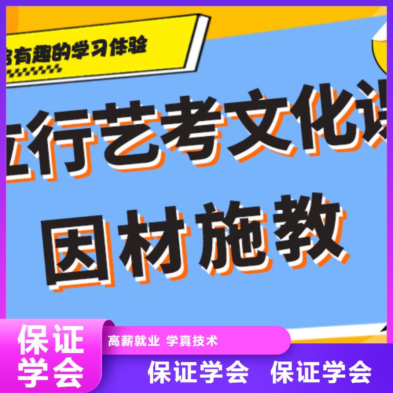 藝考文化課藝考復讀清北班理論+實操