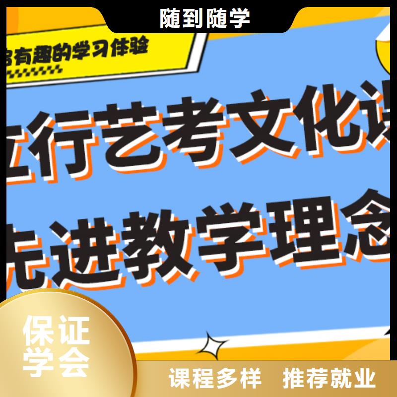 藝考文化課美術(shù)生文化課培訓(xùn)指導(dǎo)就業(yè)