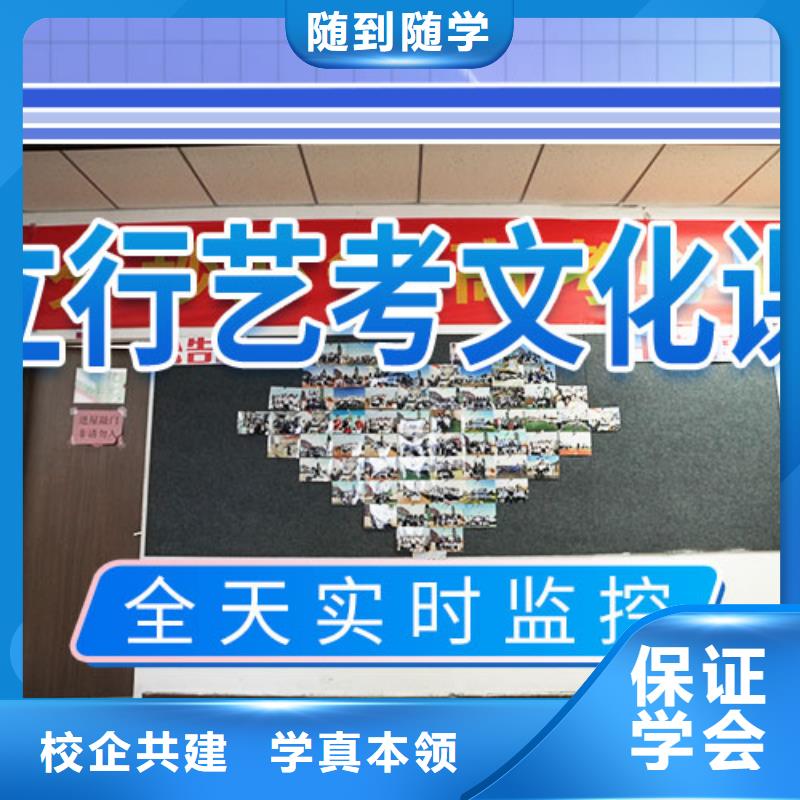 艺考文化课艺考文化课冲刺理论+实操