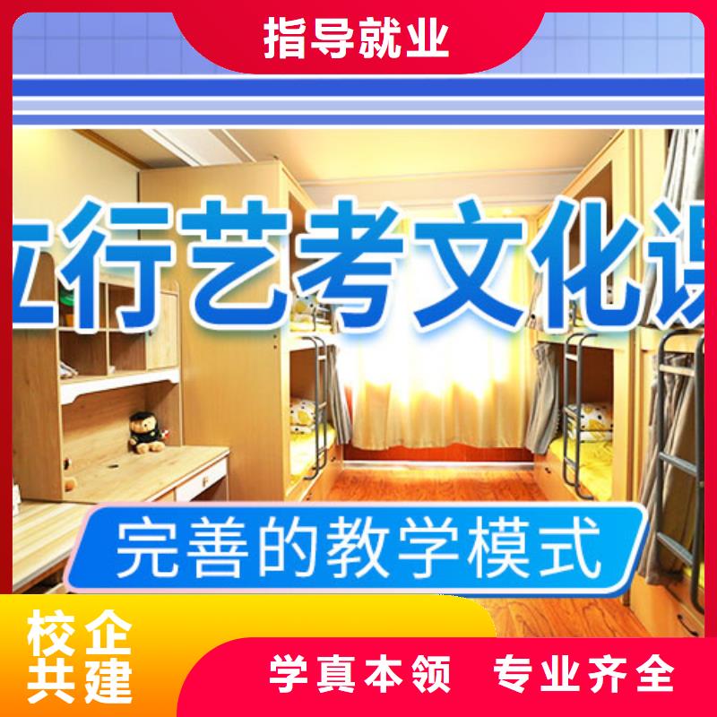 艺考生文化课冲刺,艺考培训机构课程多样