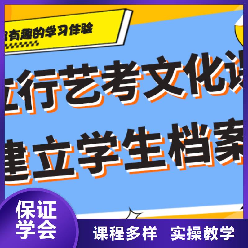 藝考生文化課沖刺_藝考生一對一補習(xí)理論+實操