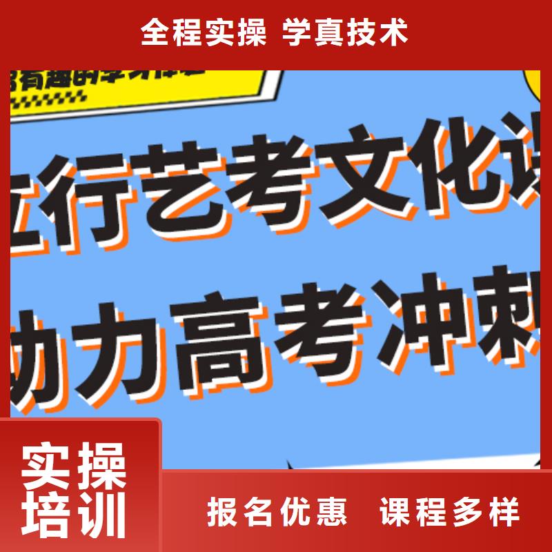 藝考文化課集訓(xùn)班_高考語文輔導(dǎo)正規(guī)學(xué)校