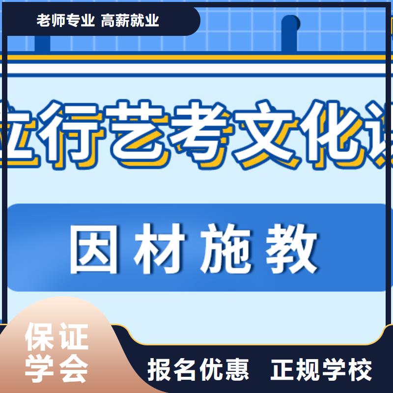 藝考文化課培訓(xùn)班藝考一對一教學(xué)理論+實(shí)操