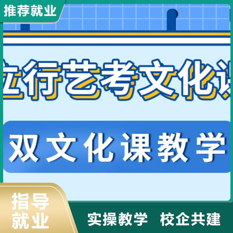 藝考文化課培訓班【藝考一對一教學】正規學校