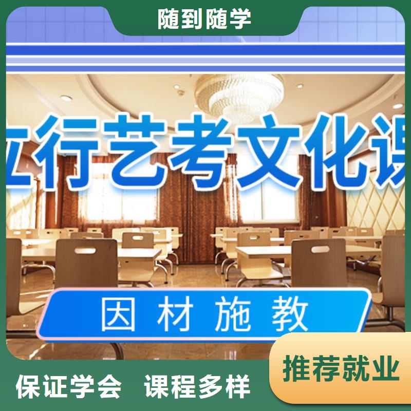 藝術(shù)生文化課培訓學校有沒有