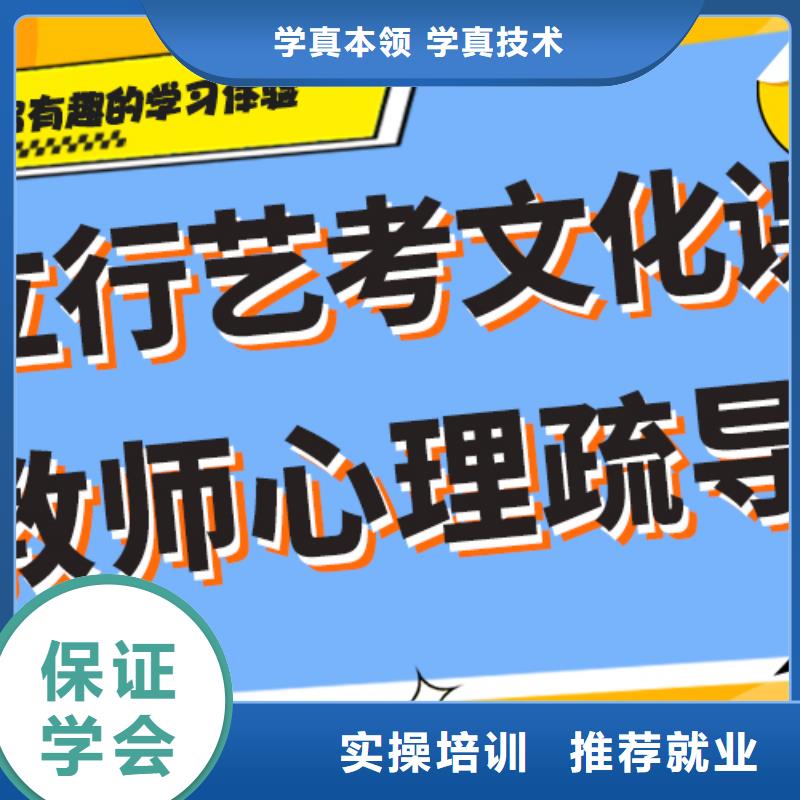 藝術生文化課培訓補習有哪些藝考生文化課專用教材